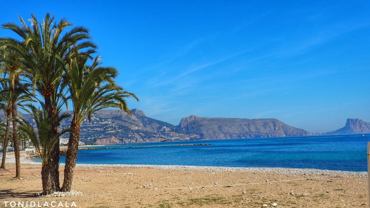 Palmträd på Costa Blanca — guide om att hyra ut bostad i Spanien, turistlicens och hyresskatt