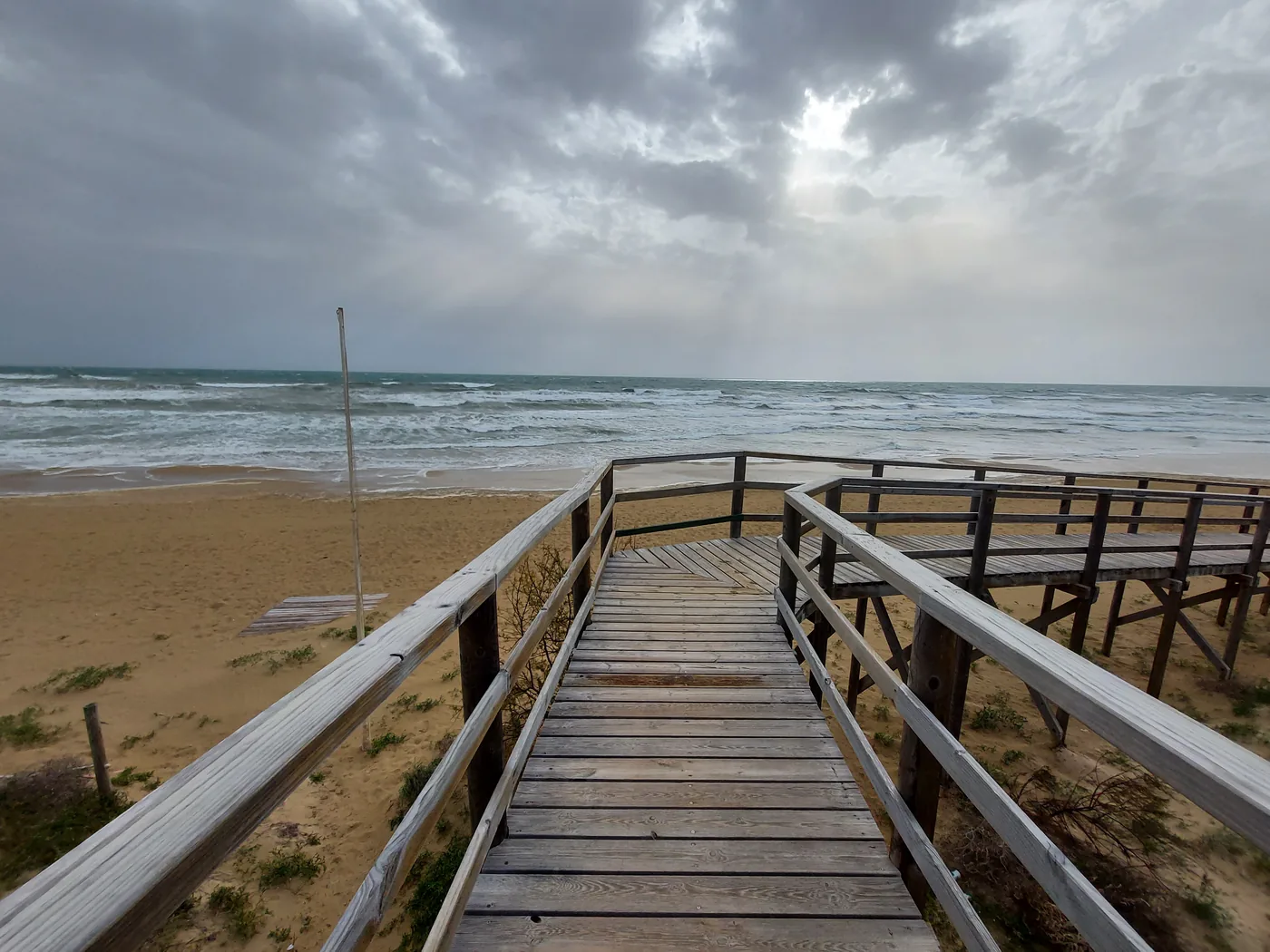 Guardamar del Seguras sandstrand med tallskogen bakom — ett naturreservat och badparadis på södra Costa Blanca